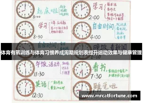 体育有氧训练与体育习惯养成周期规划表提升运动效果与健康管理