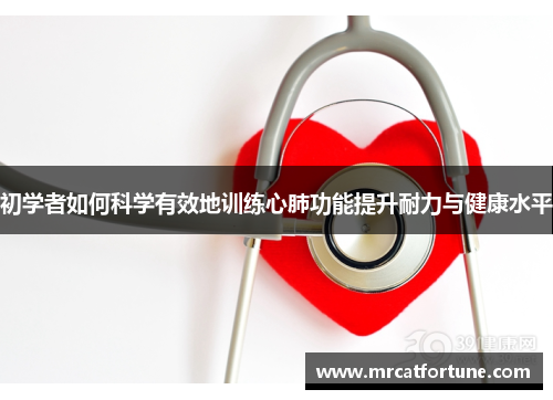 初学者如何科学有效地训练心肺功能提升耐力与健康水平