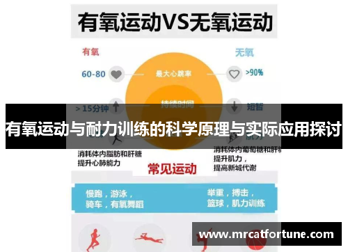 有氧运动与耐力训练的科学原理与实际应用探讨