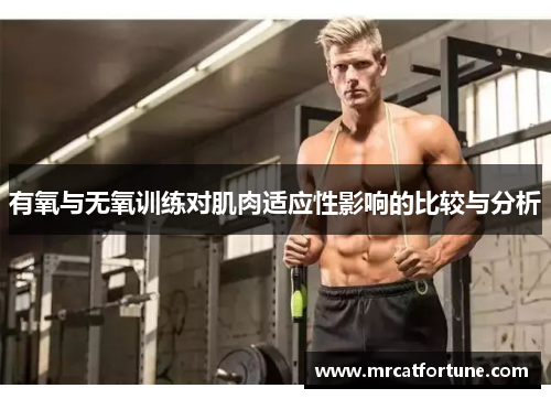 有氧与无氧训练对肌肉适应性影响的比较与分析
